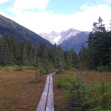 NEW OFFERING!! <BR>Anchorage, AK <BR> September 21-22, 2024 <BR> Hosted by The Art Lounge - Exploring Wild Mushroom and Lichen Dyes of the Alaskan National Forests